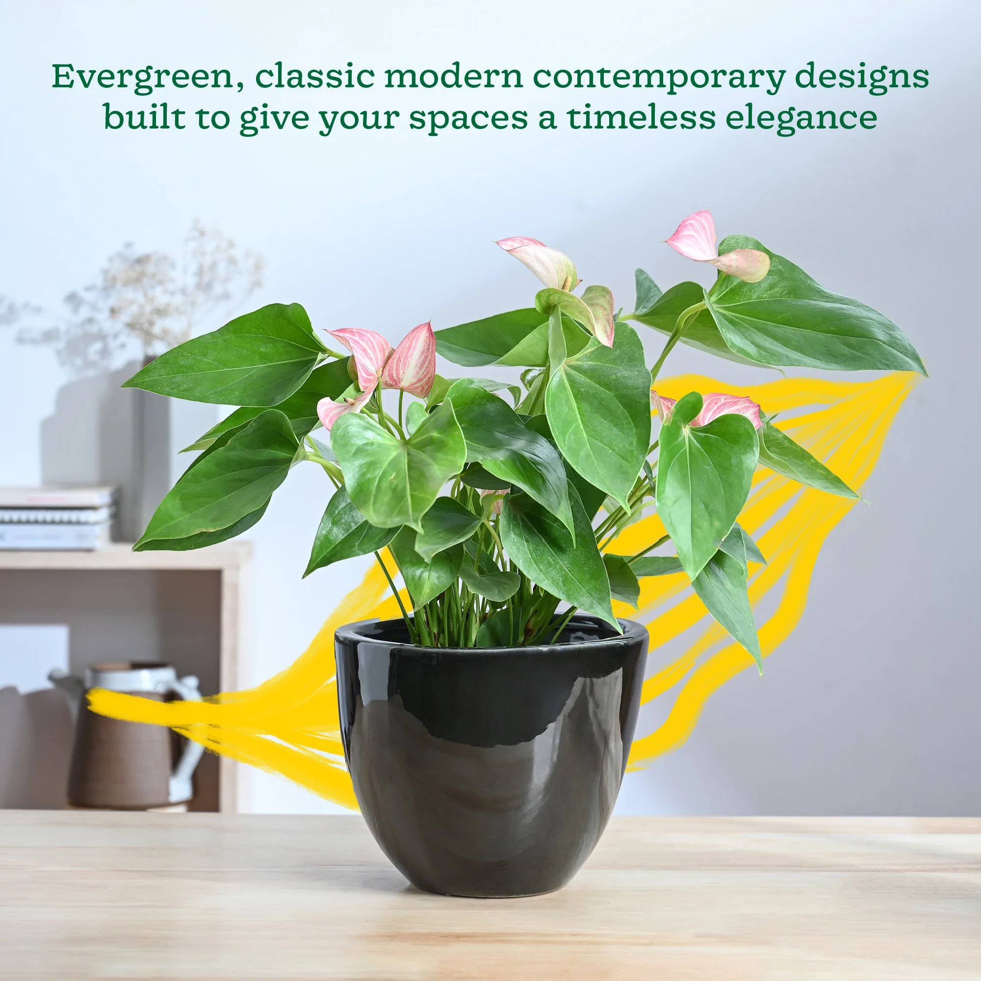 Echoing Eternity Ceramic Planter - Image 18