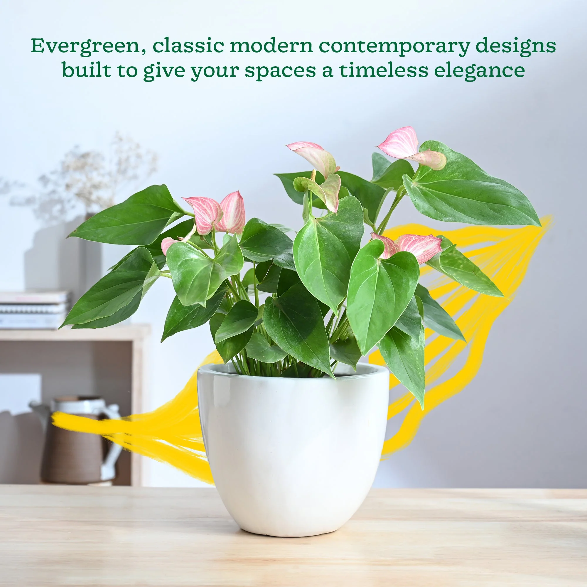 Echoing Eternity Ceramic Planter - Image 2