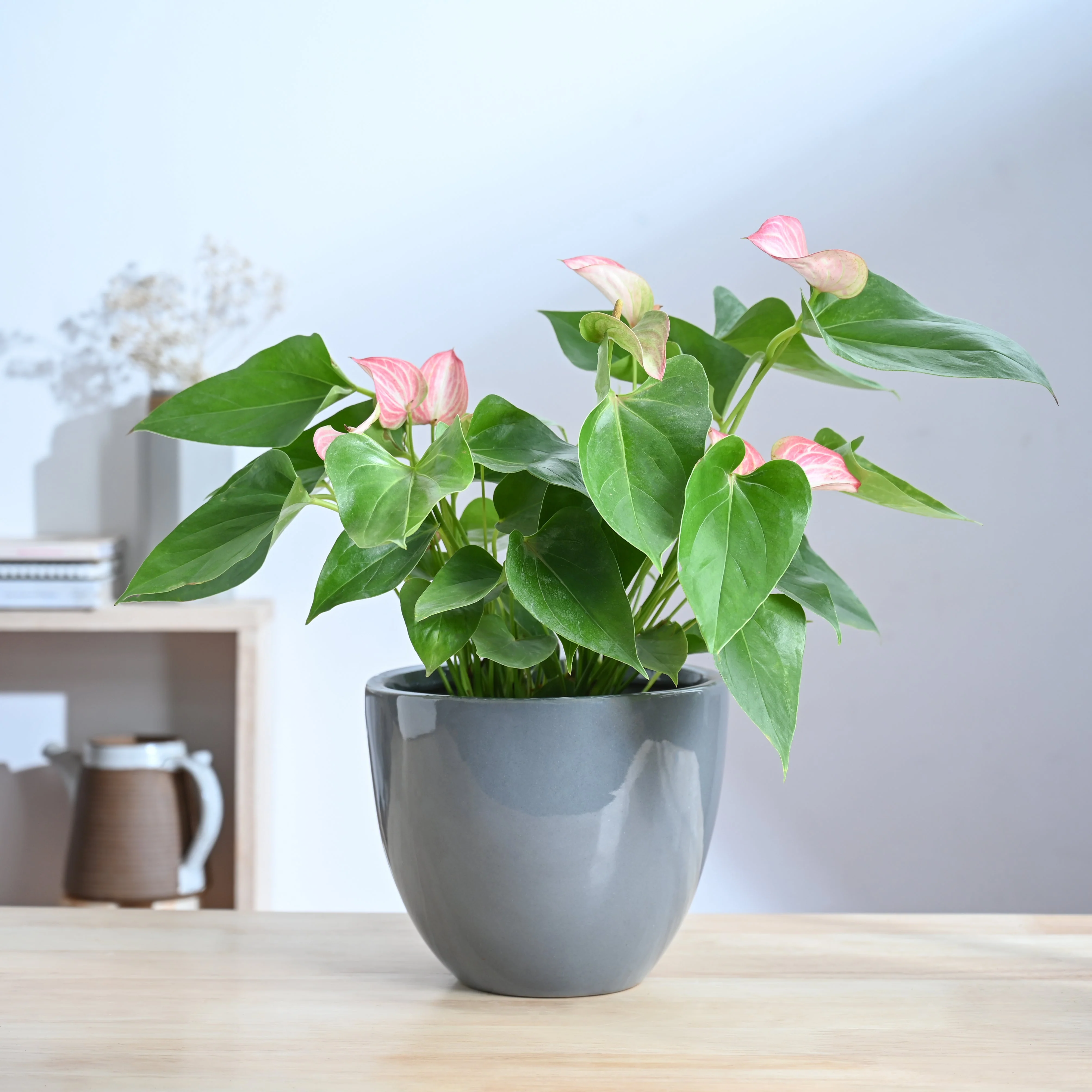 Echoing Eternity Ceramic Planter - Image 9