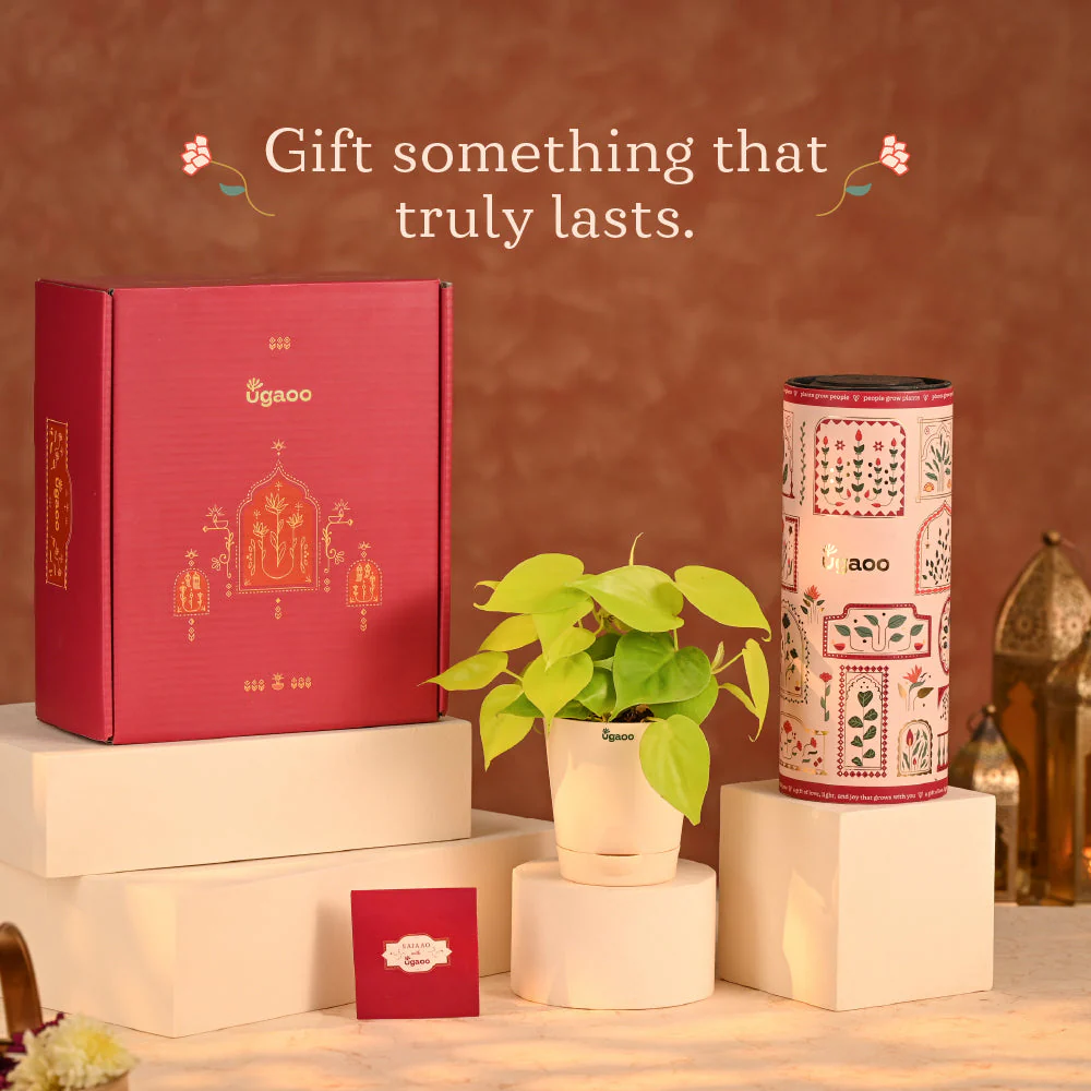 Golden Heart - Diwali Gift Hampers for Employees & Clients - Image 13