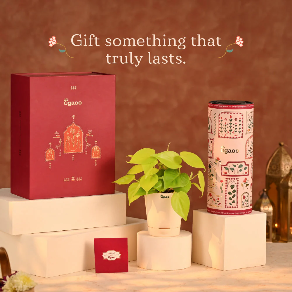 Golden Heart - Diwali Gift Hampers for Employees & Clients - Image 2