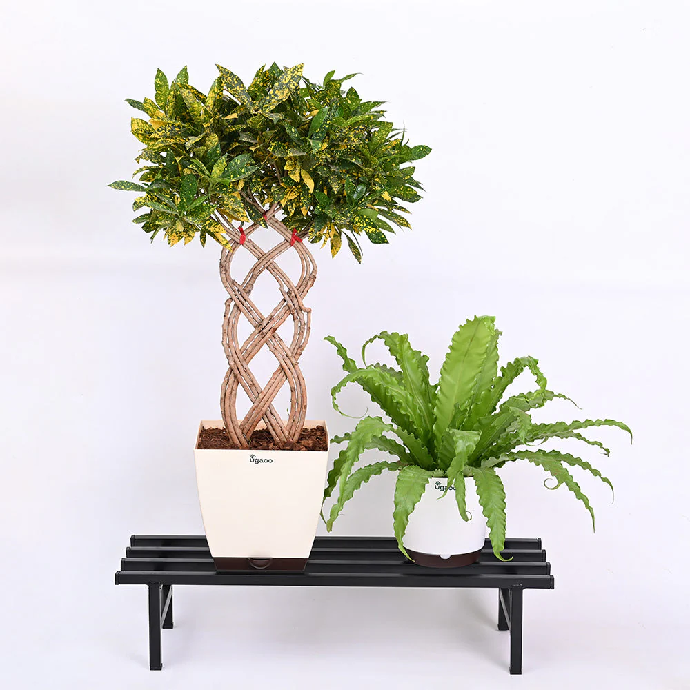 Elevate Plant Stand Set of 2 - Image 12