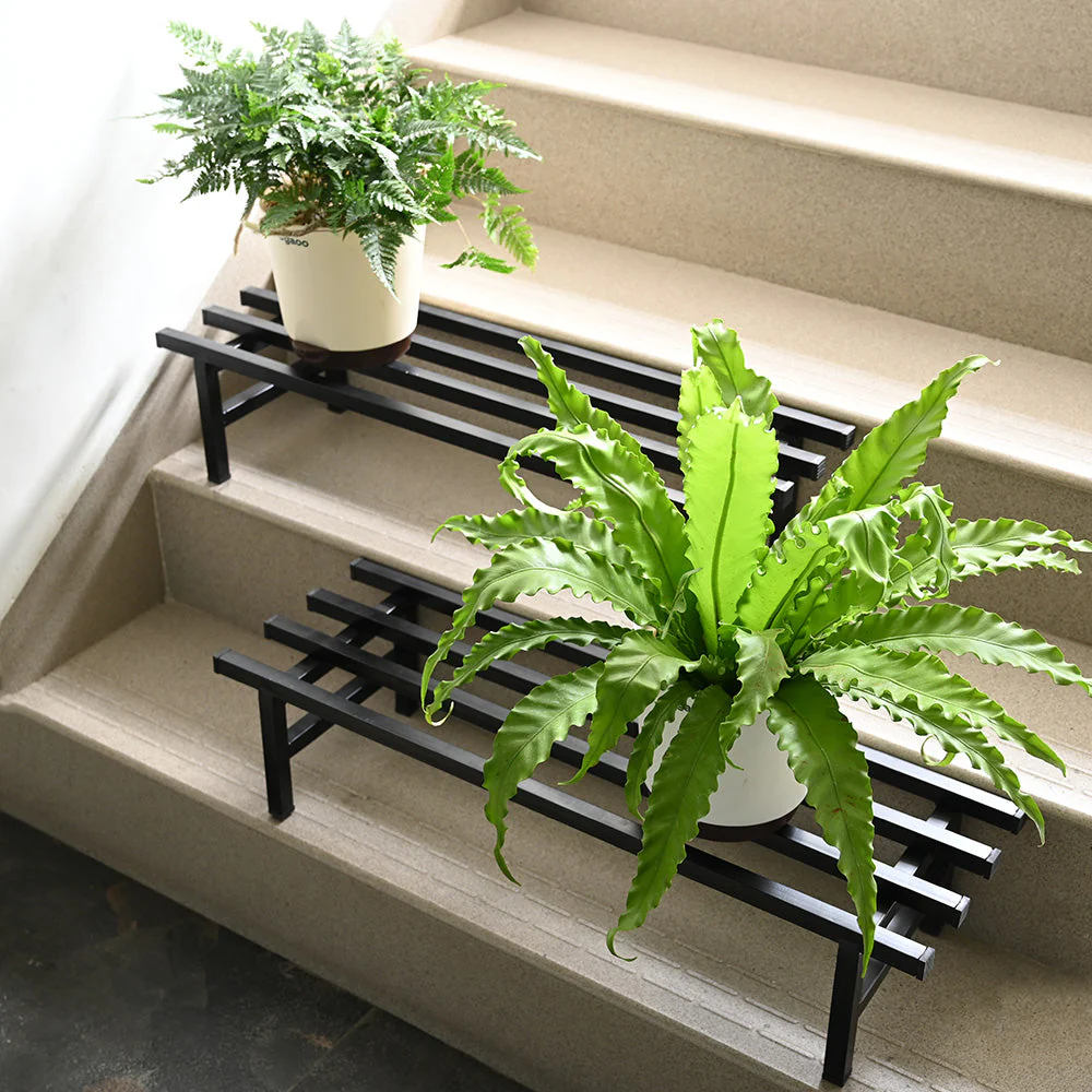 Elevate Plant Stand Set of 2 - Image 14
