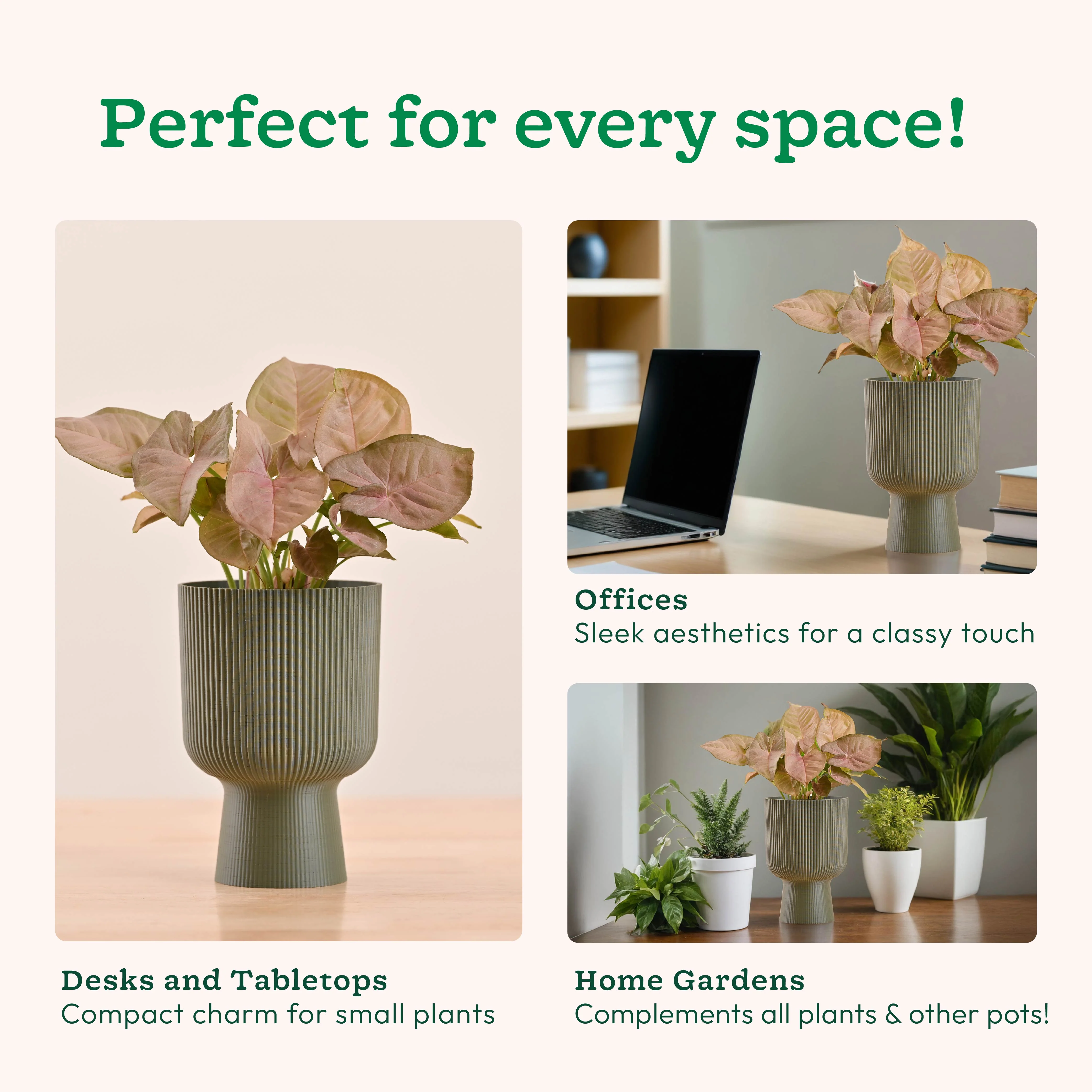 Erika Planter - Image 12