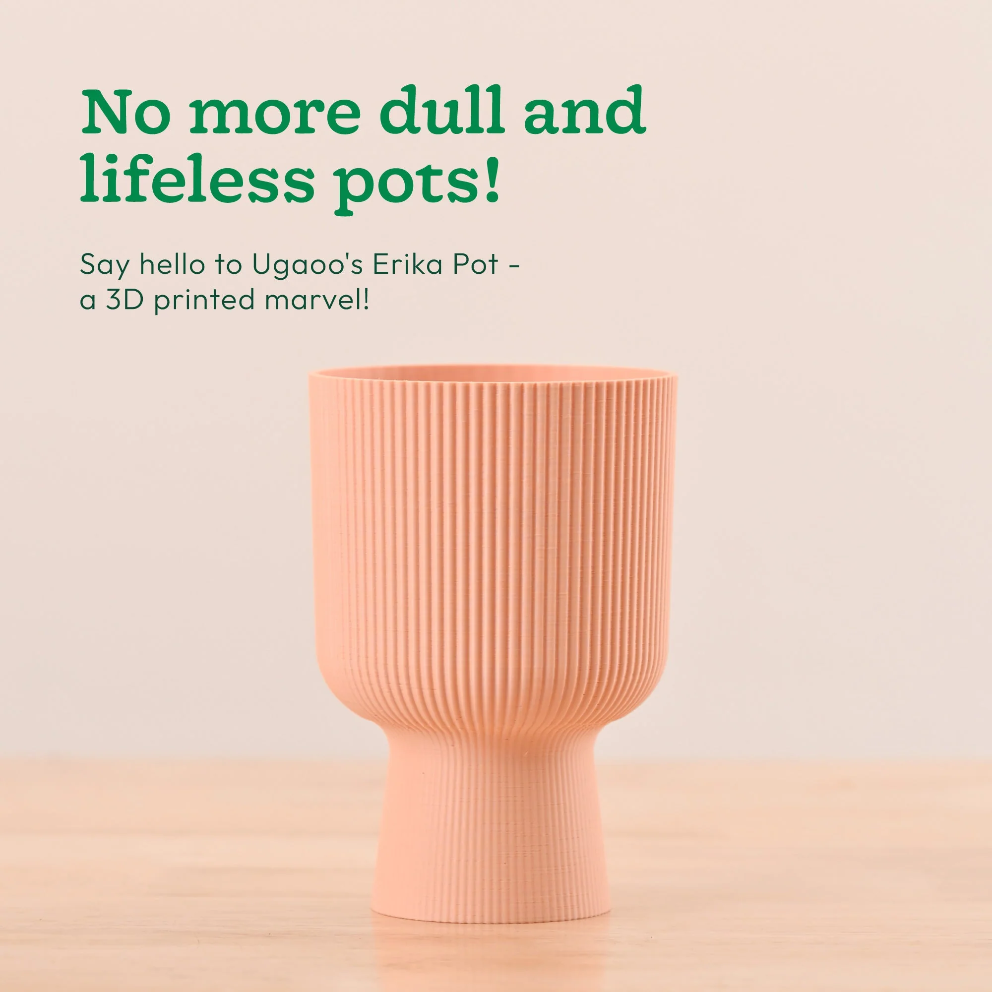 Erika Planter - Image 3