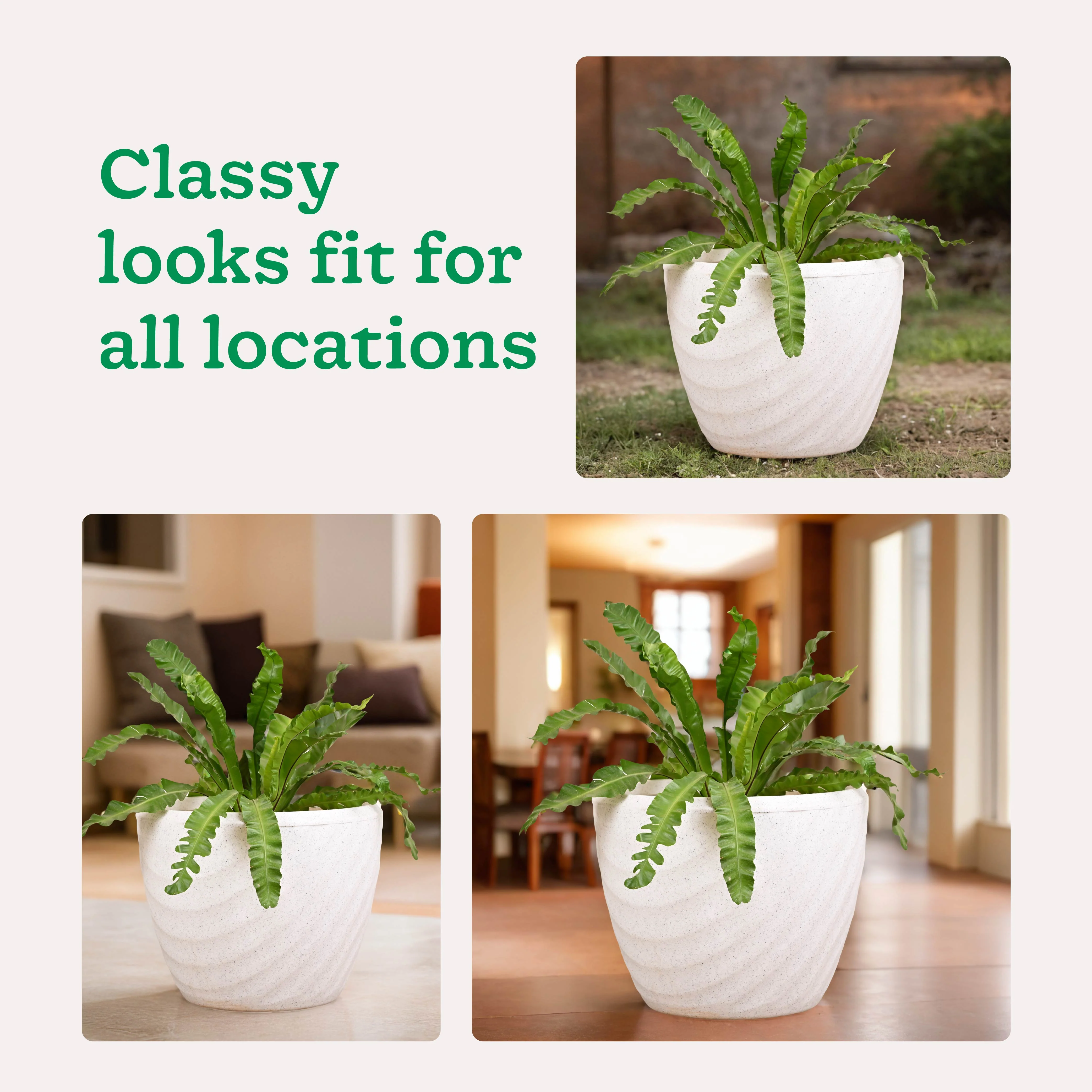 Euro Plastic Planter - Image 13