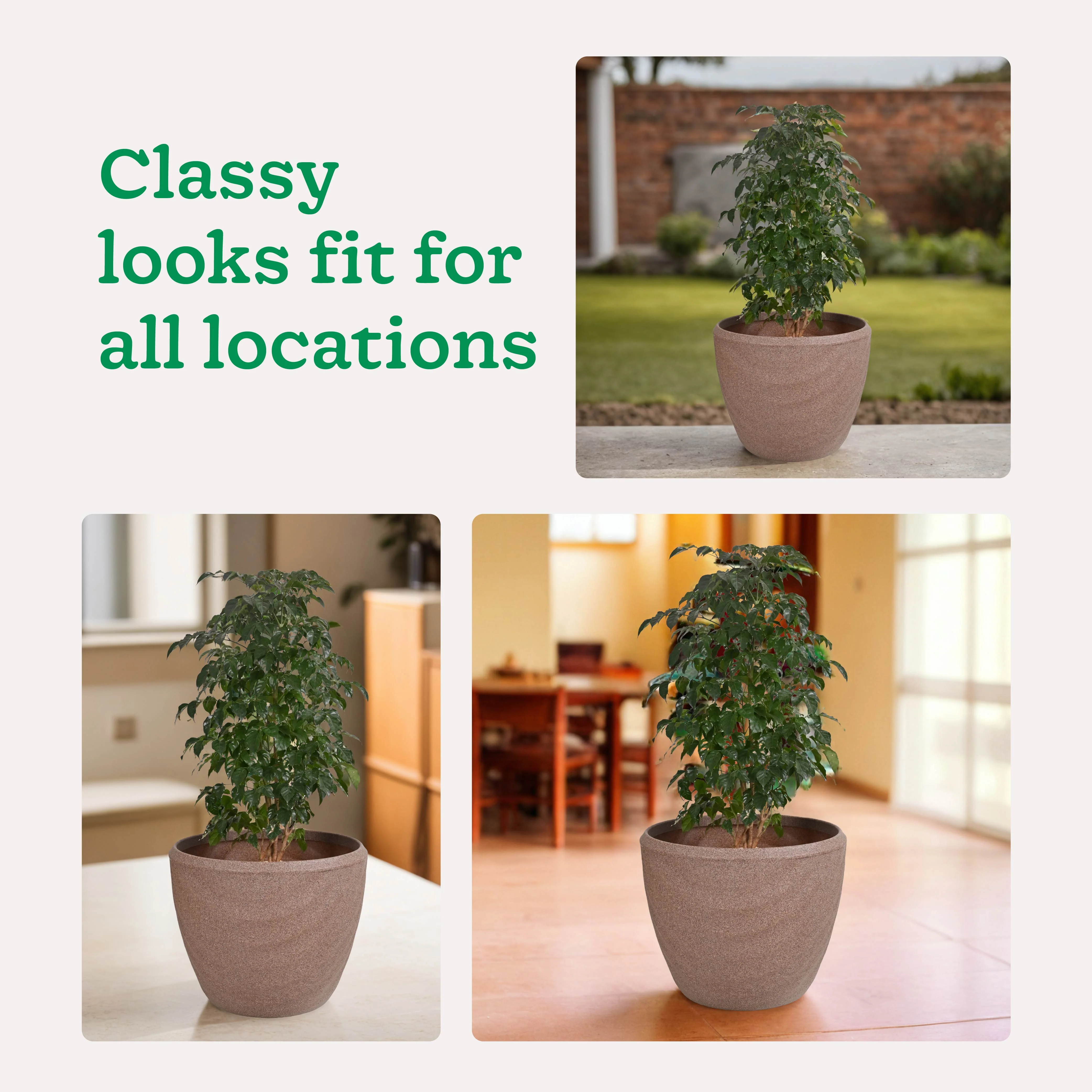 Euro Plastic Planter - Image 6