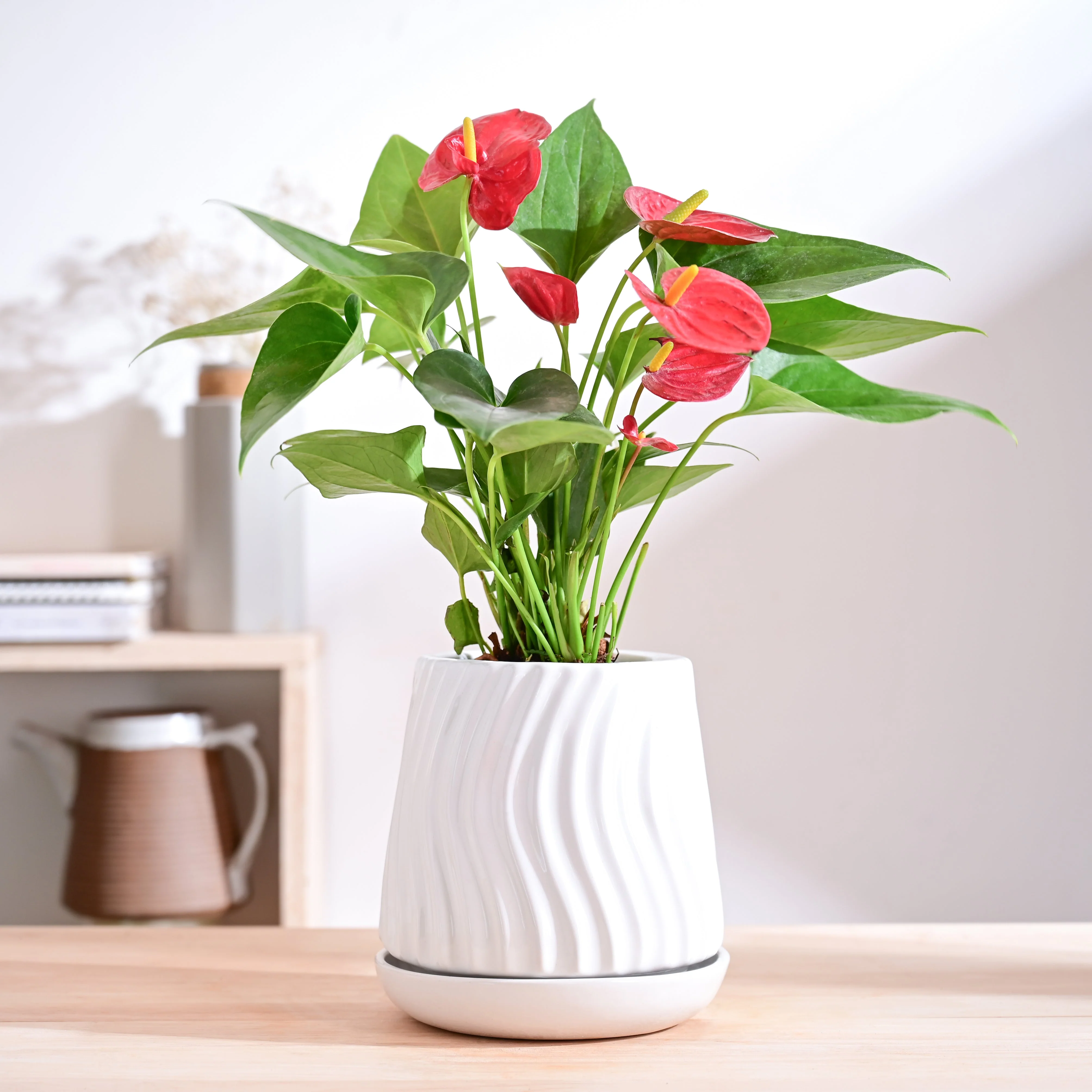 Fallen Angel Ceramic Planter - Image 17