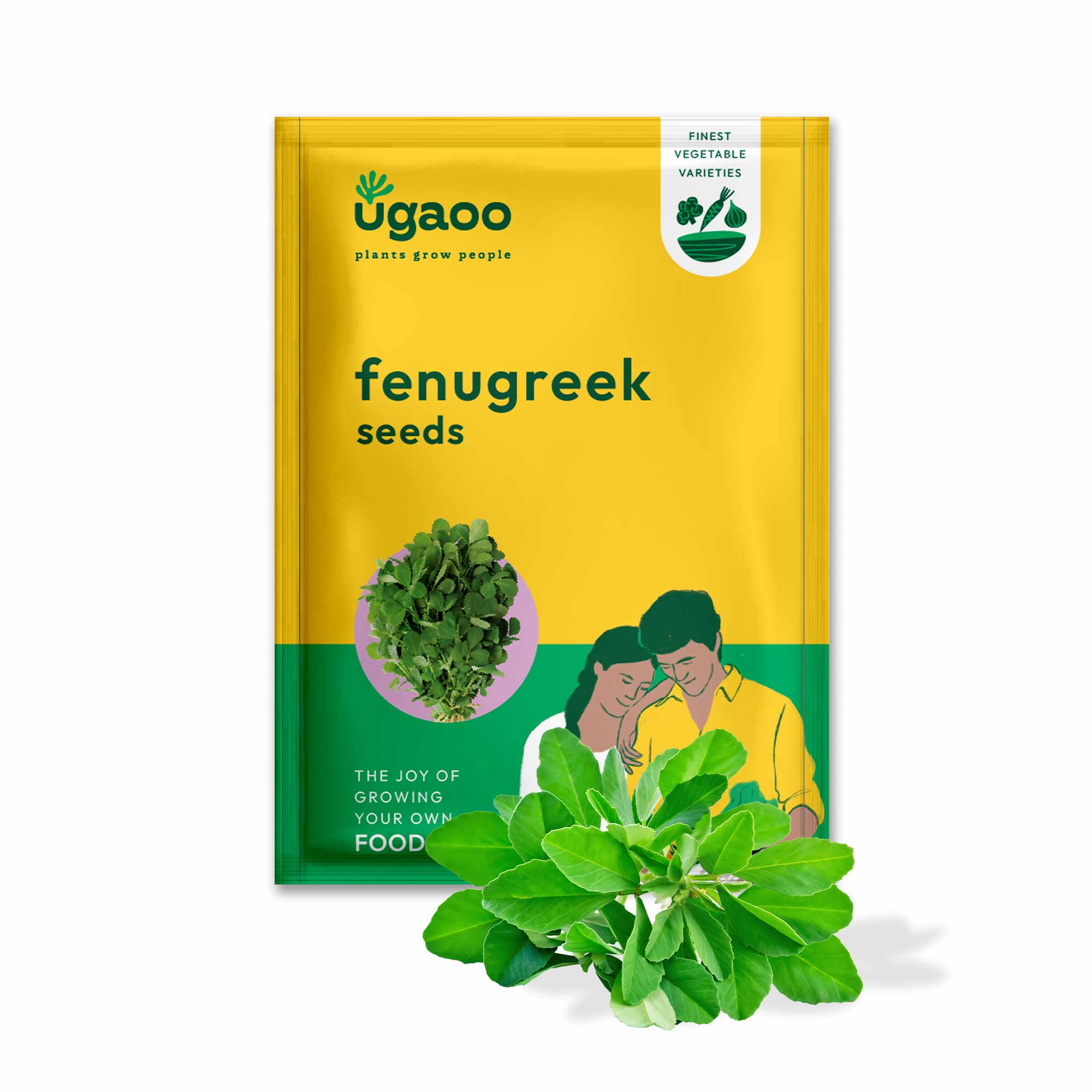 Fenugreek Seeds (Methi) - Image 20