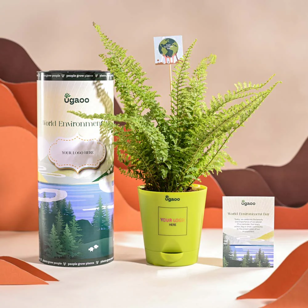 Fern Morpankhi For Environment Day Gifting - Image 14