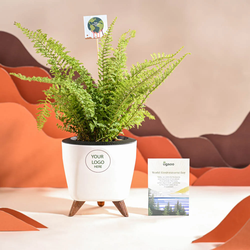 Fern Morpankhi For Environment Day Gifting - Image 43