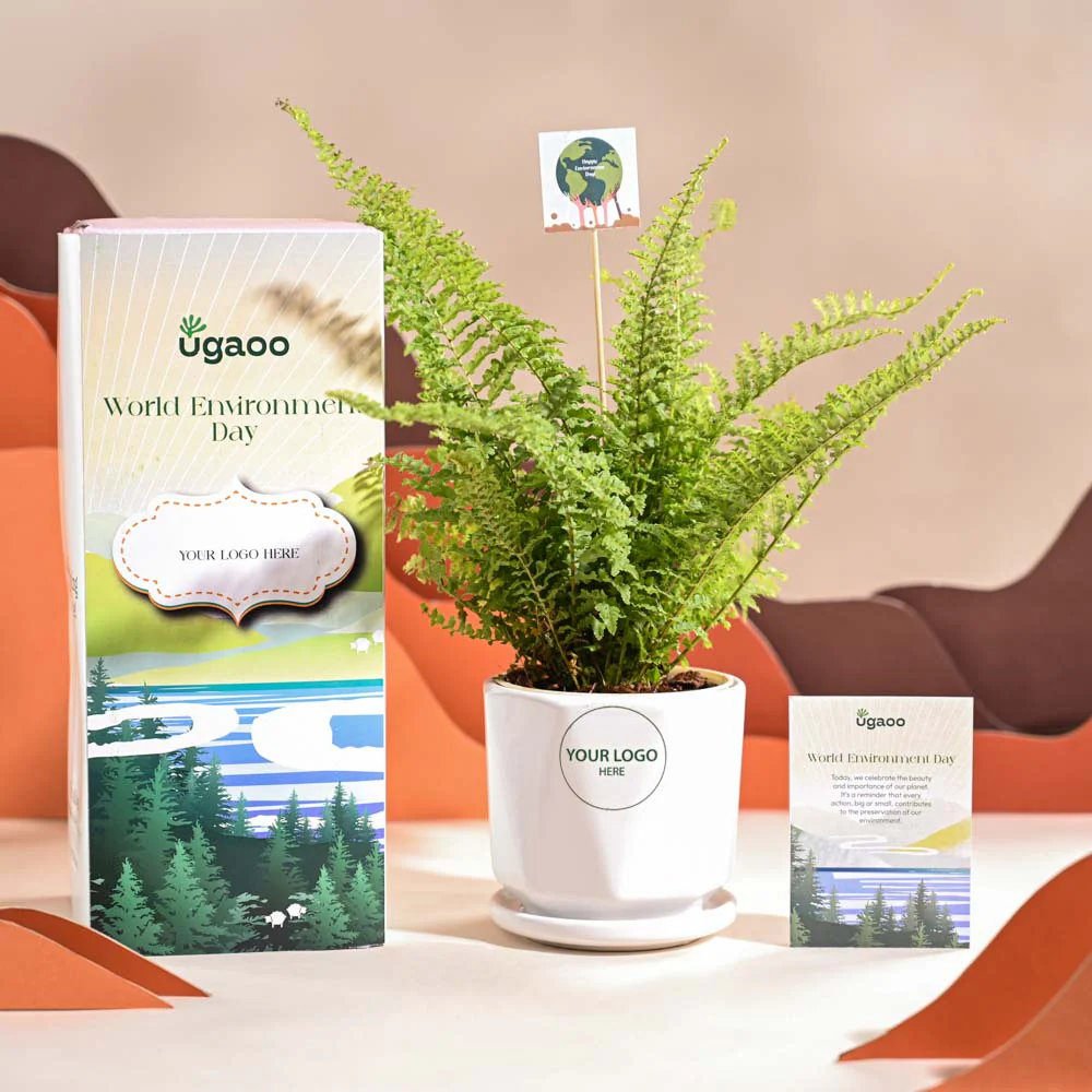 Fern Morpankhi For Environment Day Gifting - Image 49