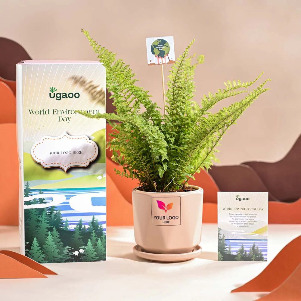 Fern Morpankhi For Environment Day Gifting - Image 55