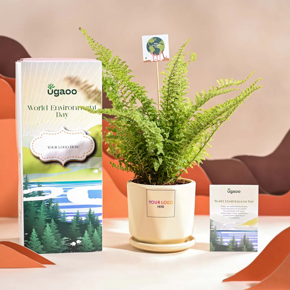 Fern Morpankhi For Environment Day Gifting - Image 61