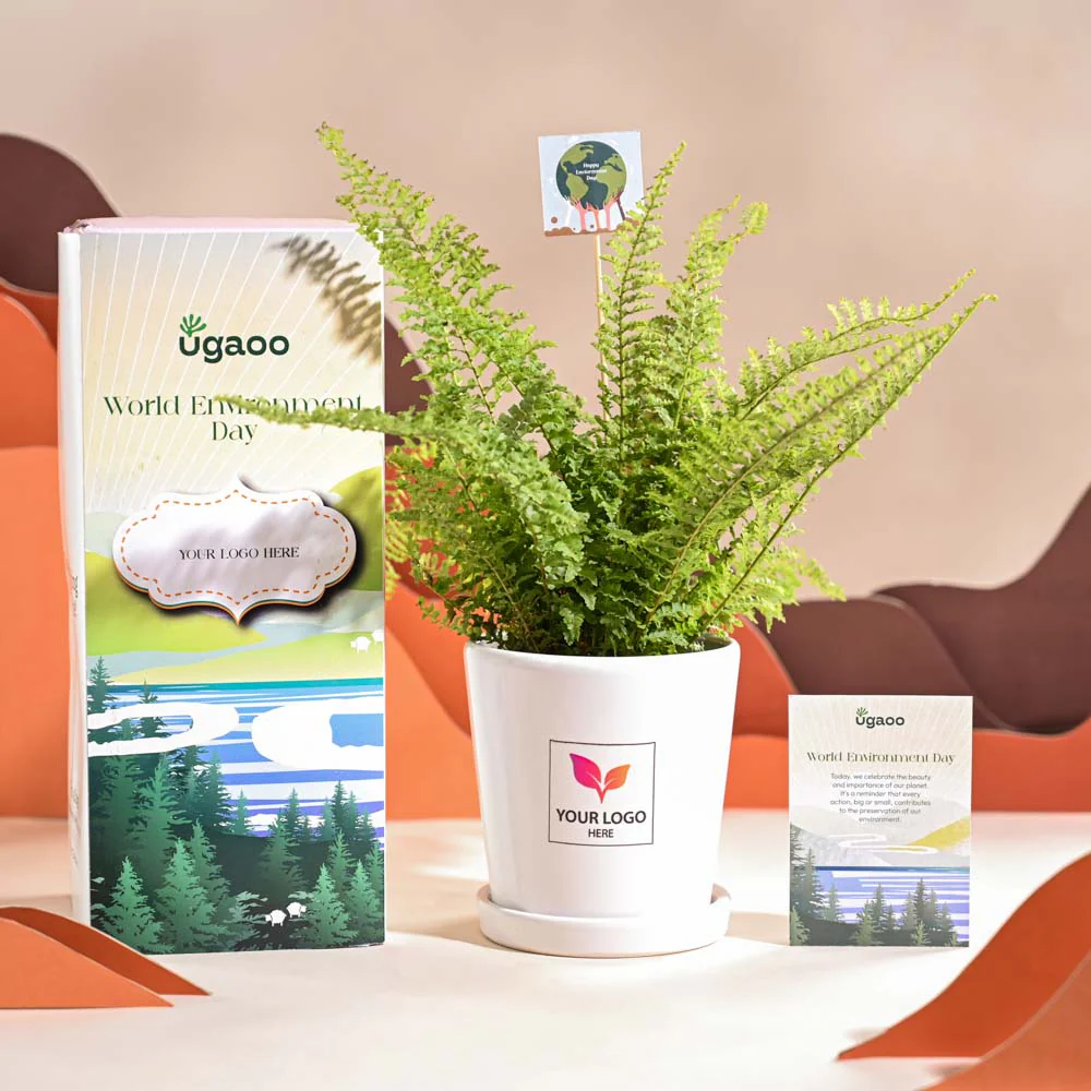 Fern Morpankhi For Environment Day Gifting - Image 67