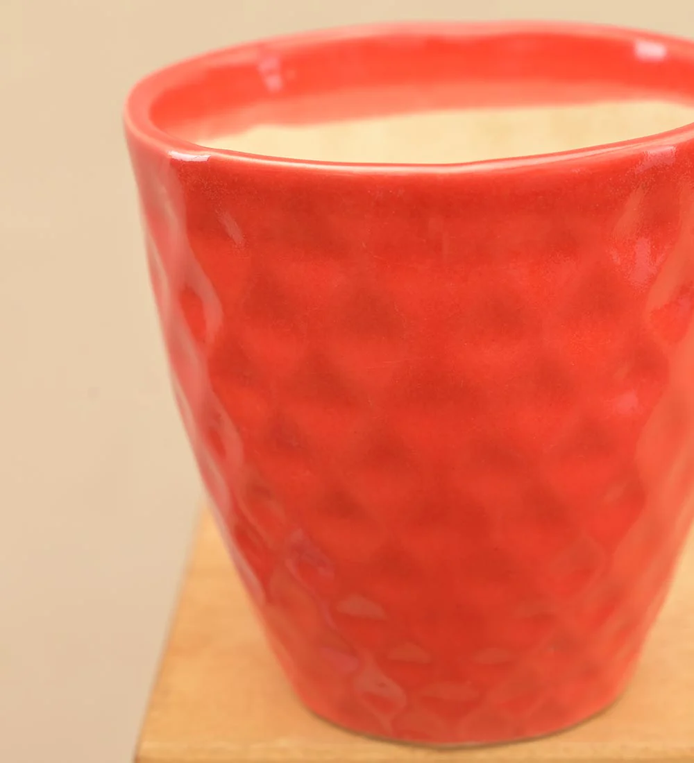 Firecracker Ceramic Planter - Image 10
