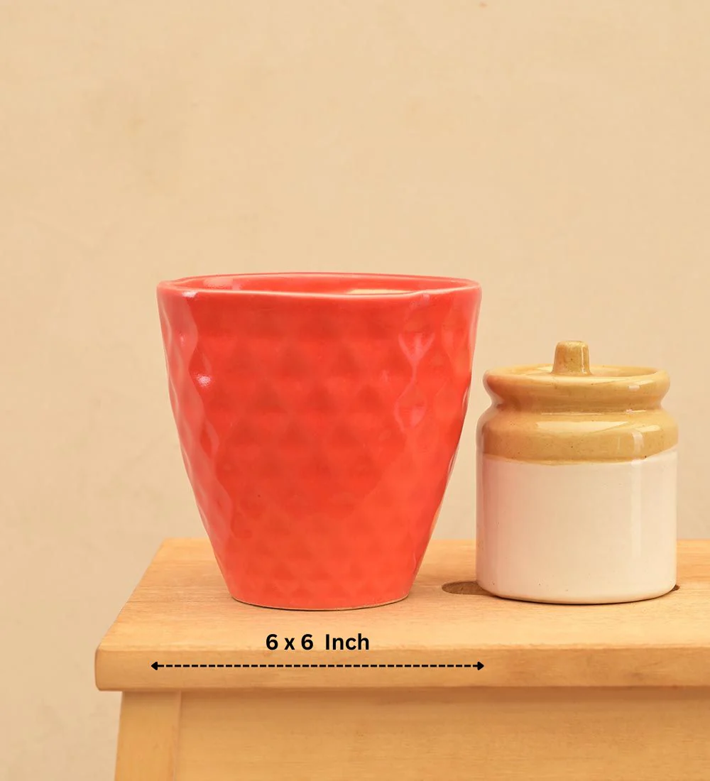 Firecracker Ceramic Planter - Image 15