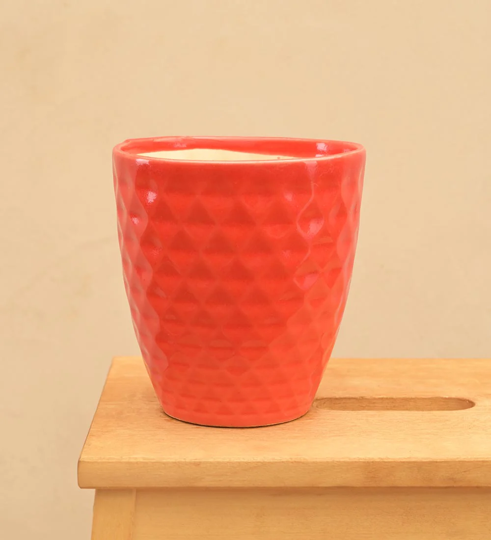 Firecracker Ceramic Planter - Image 16