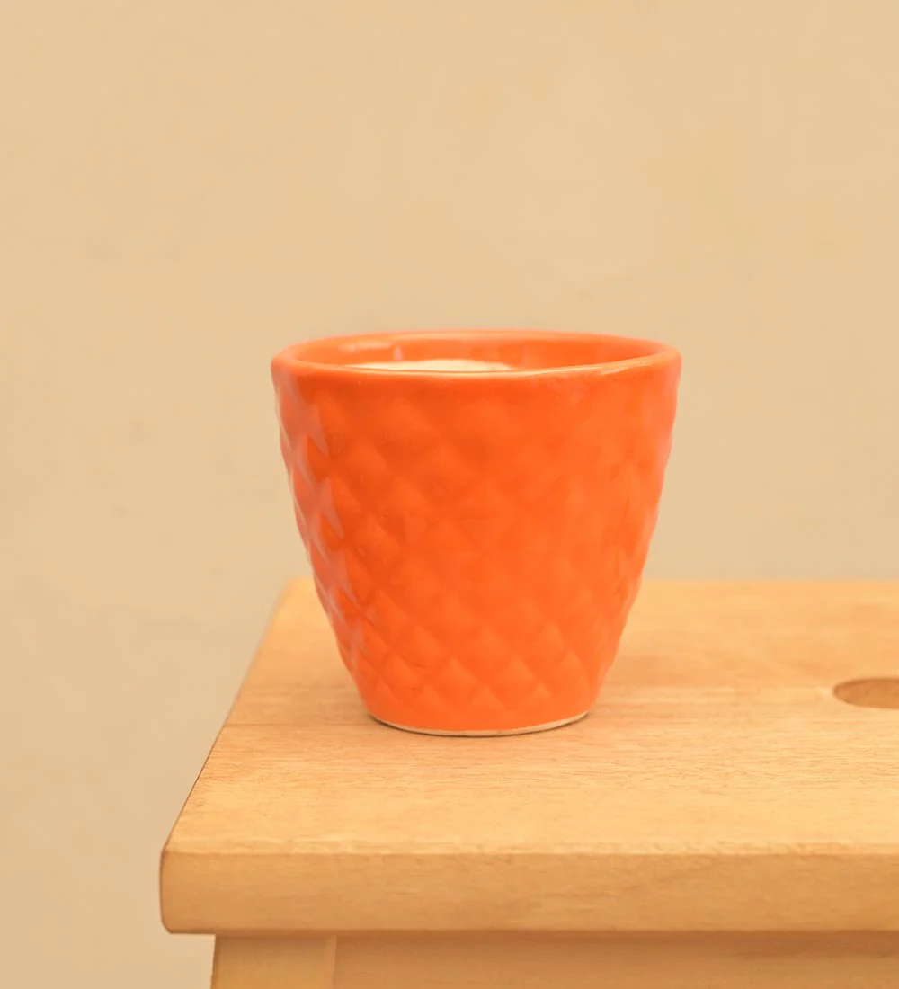 Firecracker Ceramic Planter - Image 20