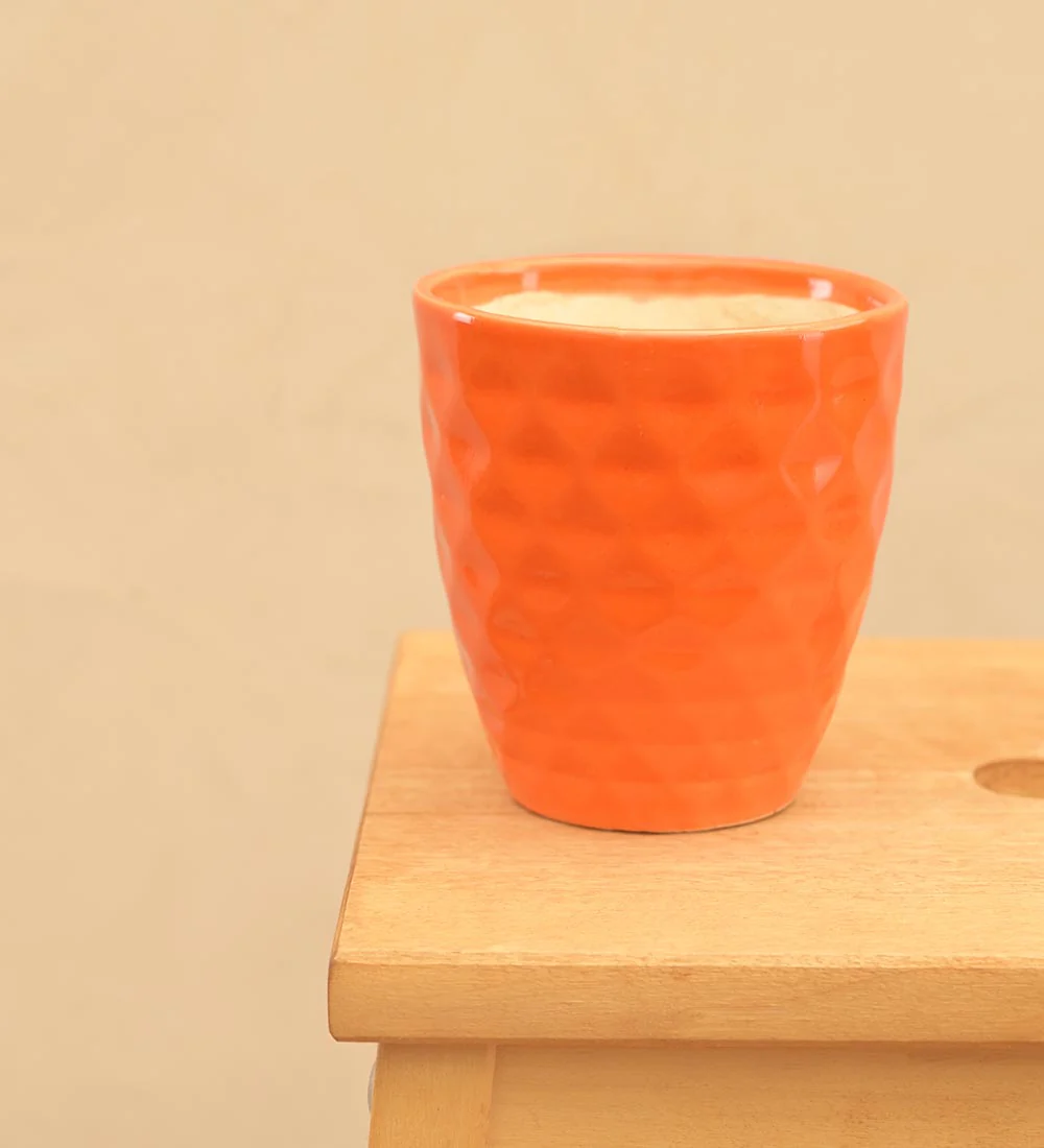 Firecracker Ceramic Planter - Image 24