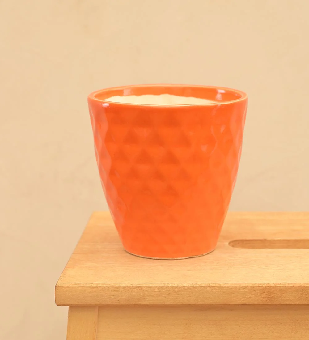 Firecracker Ceramic Planter - Image 28