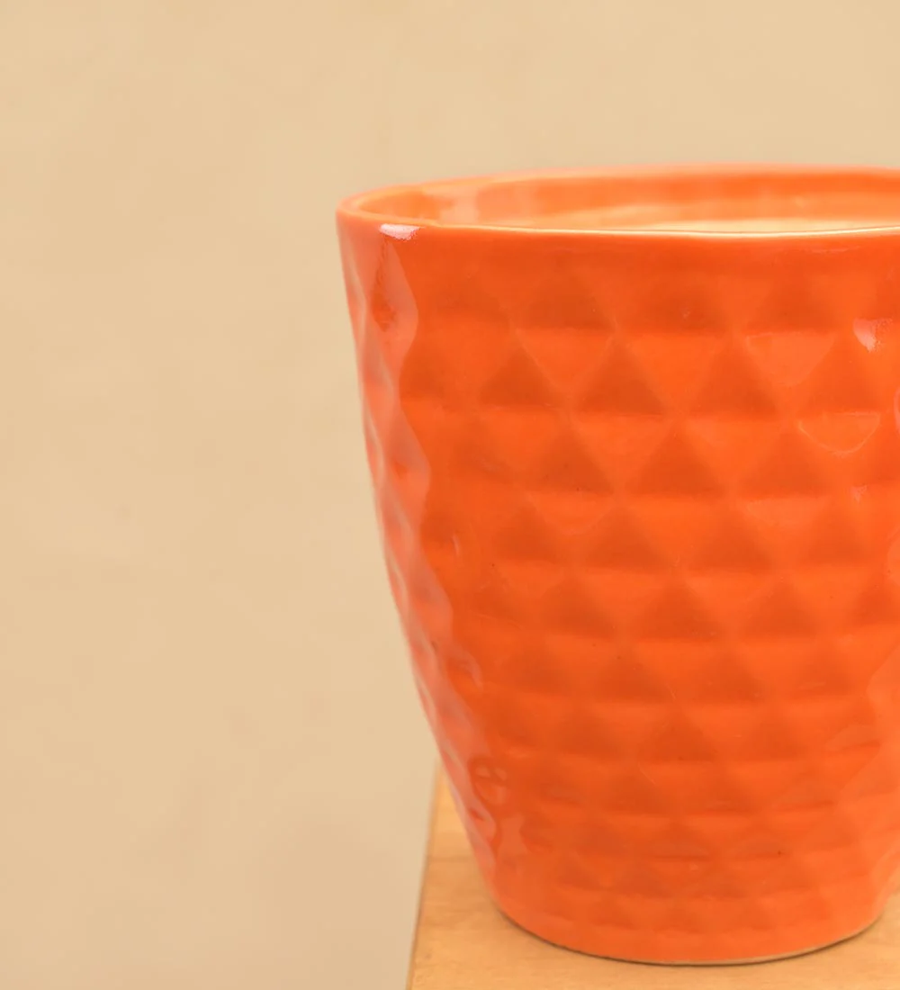 Firecracker Ceramic Planter - Image 30