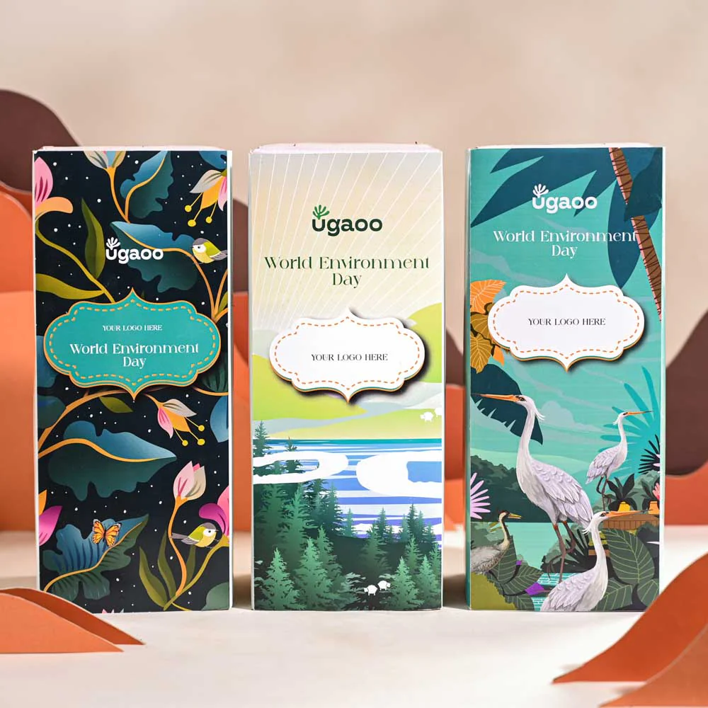 Fittonia Green Plant (Nerve Plant) For Environment Day Gifting - Image 44