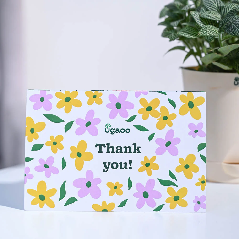 Fittonia Green Thank you Gift Hamper - Image 6
