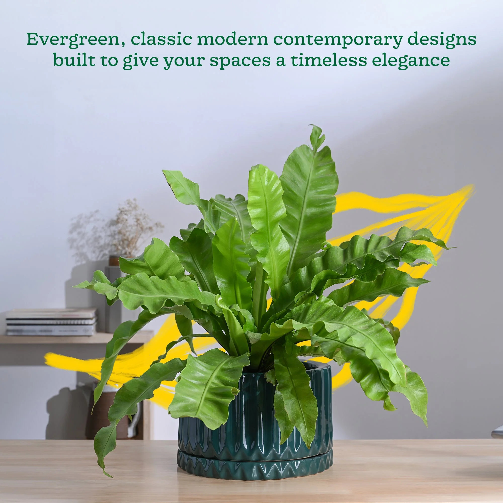 Fleeting Bliss Ceramic Planter - Image 15