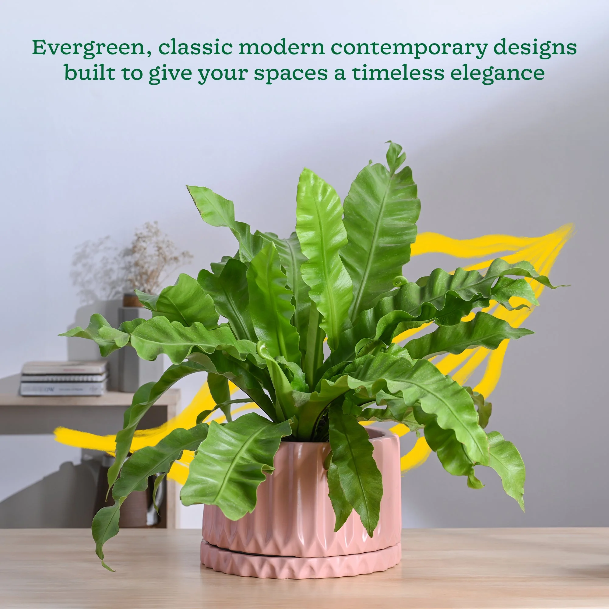 Fleeting Bliss Ceramic Planter - Image 23