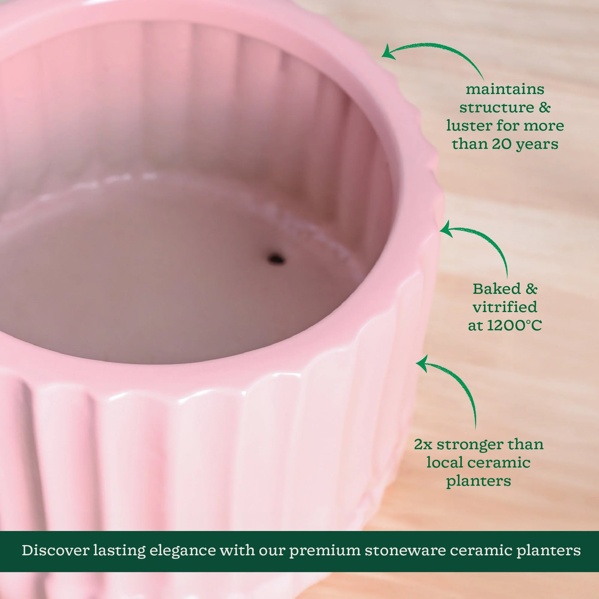 Fleeting Bliss Ceramic Planter - Image 26