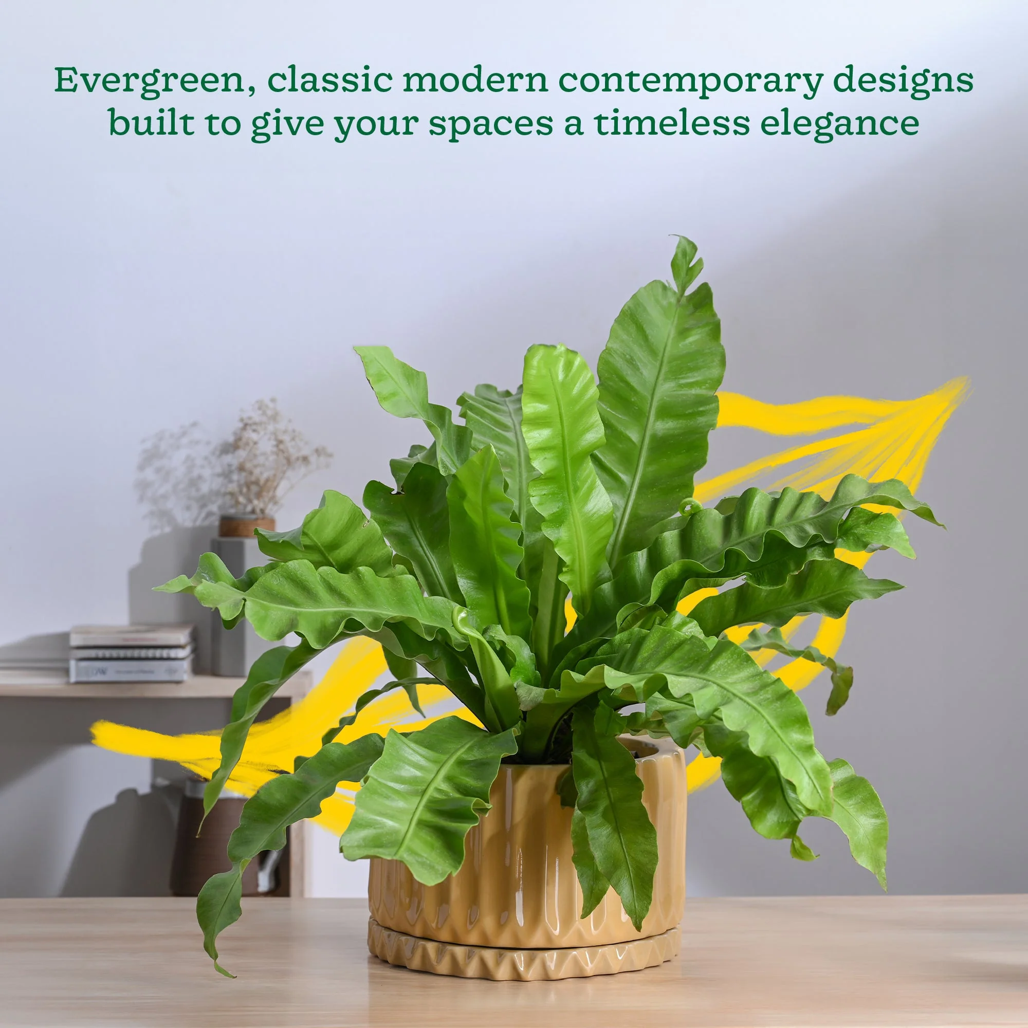 Fleeting Bliss Ceramic Planter - Image 31