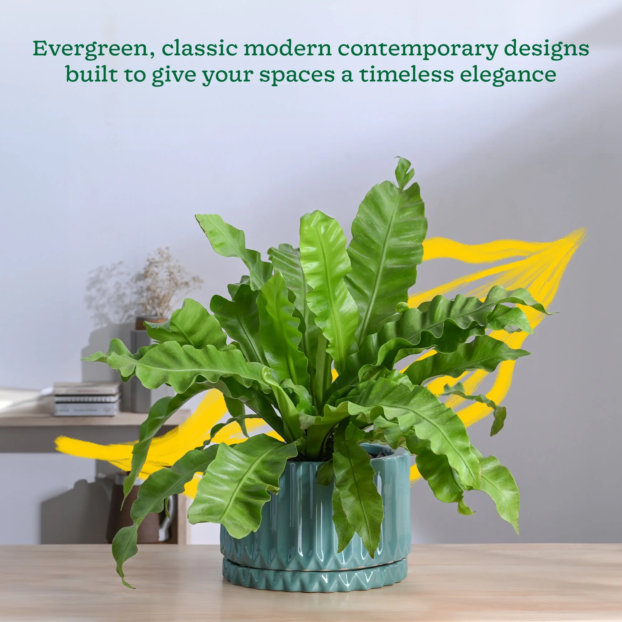 Fleeting Bliss Ceramic Planter - Image 7