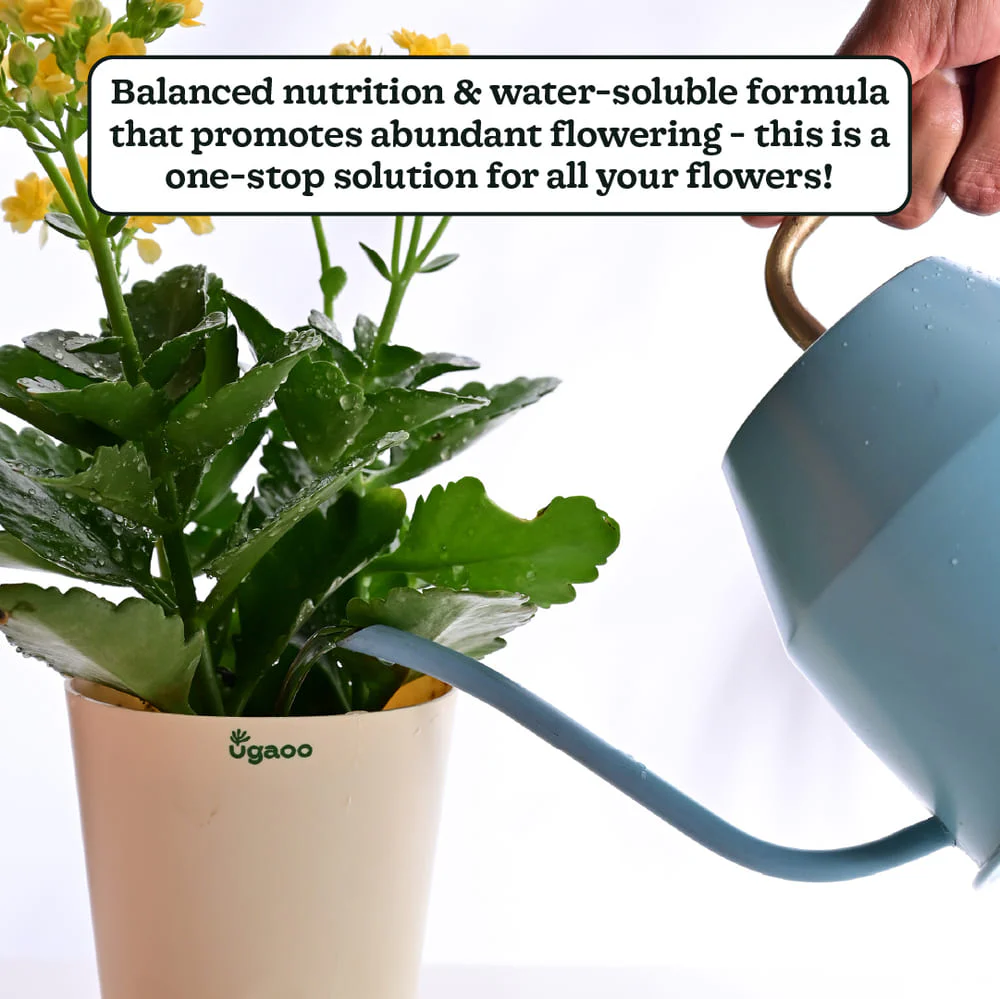Flora TAB - Image 5