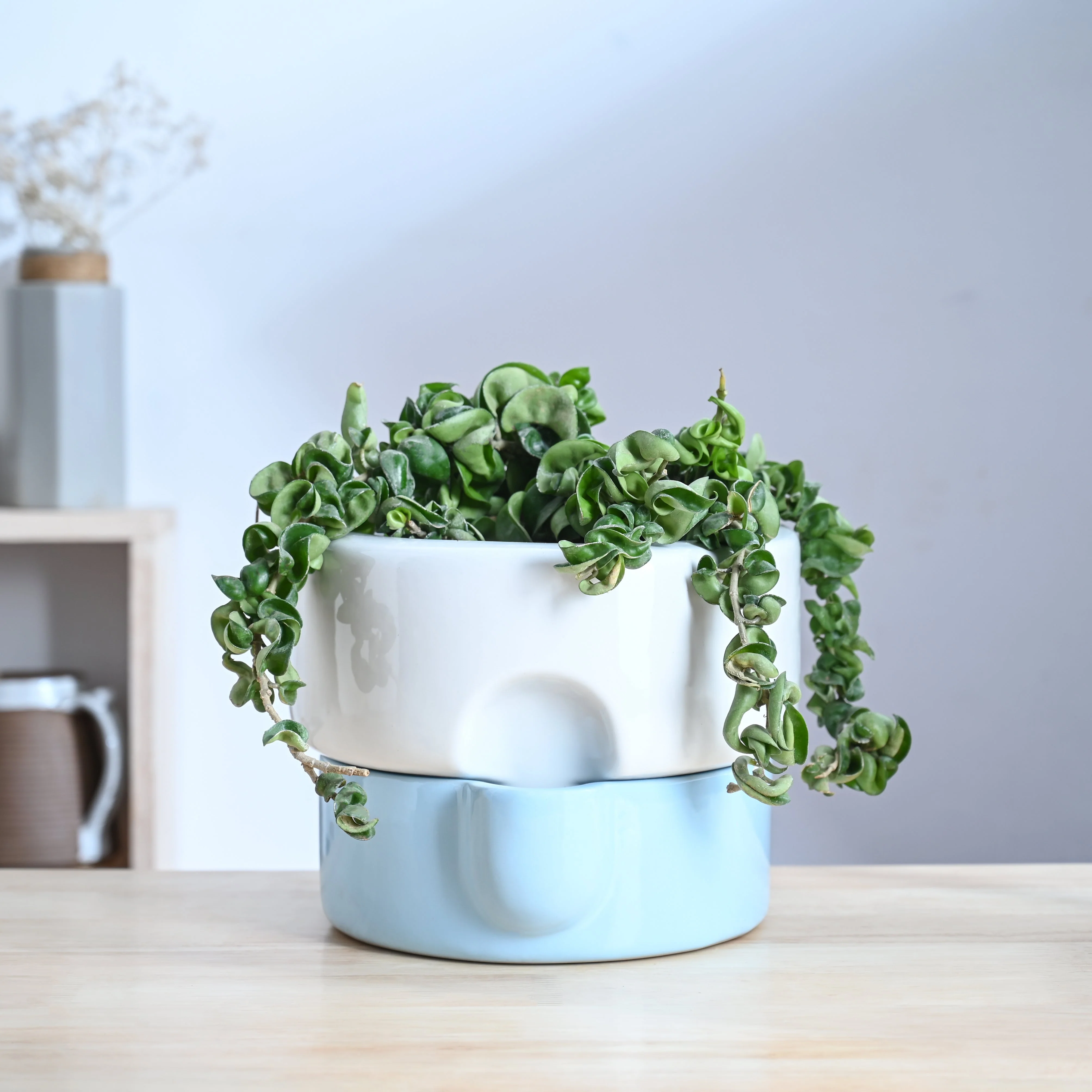 Flower Sunflower Ceramic Planter - Image 17