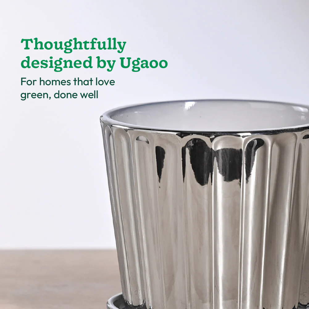 Fluted ceramic pot- 5 inch - Image 10