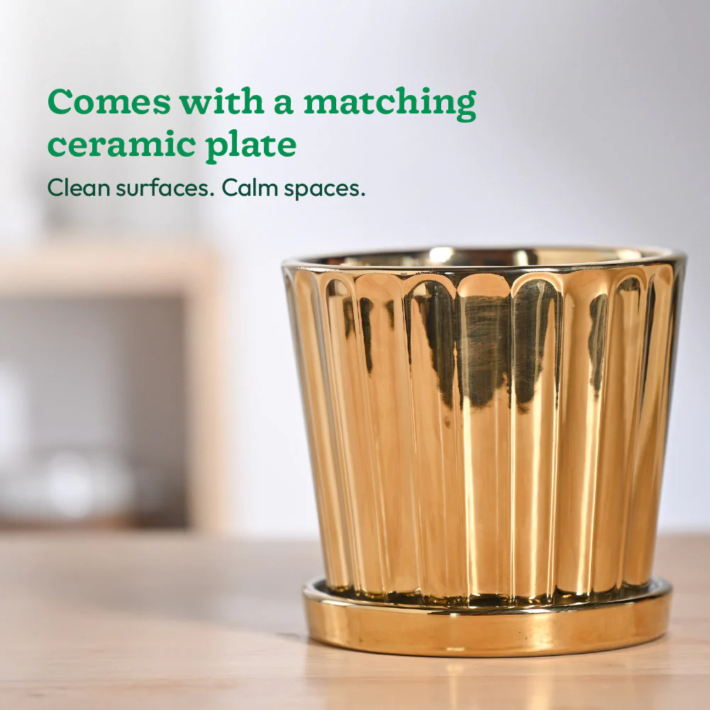 Fluted ceramic pot- 5 inch - Image 16