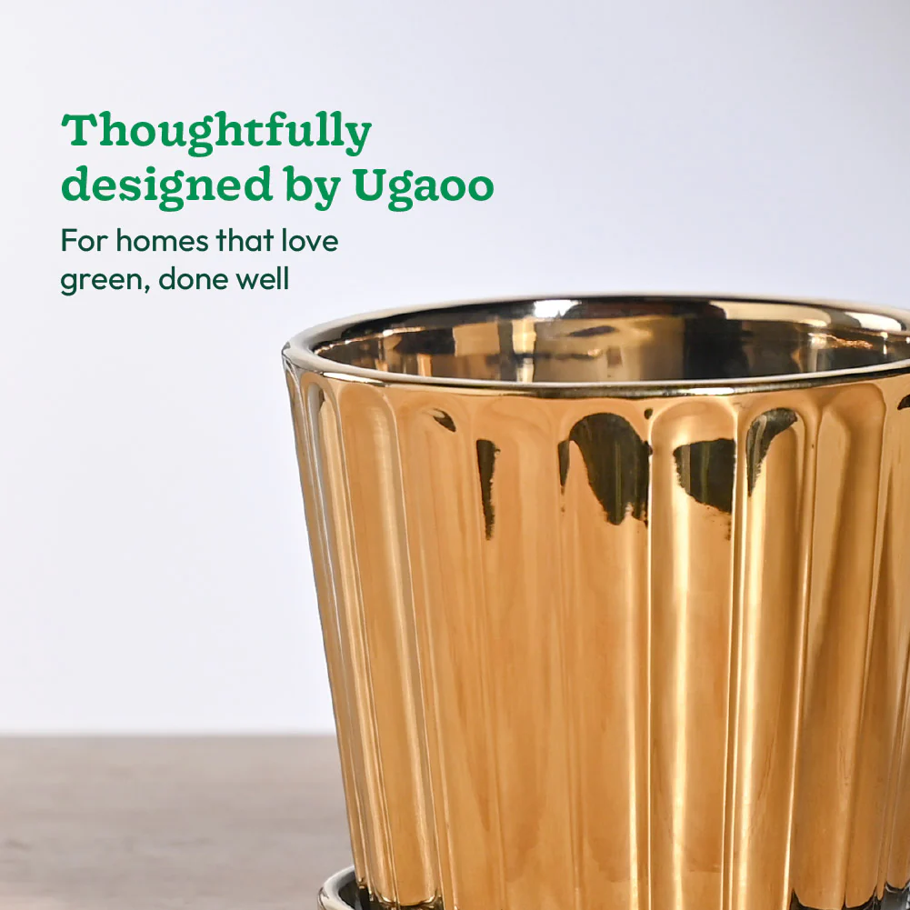 Fluted ceramic pot- 5 inch - Image 19