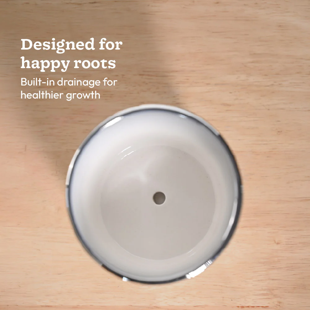 Fluted ceramic pot- 5 inch - Image 6
