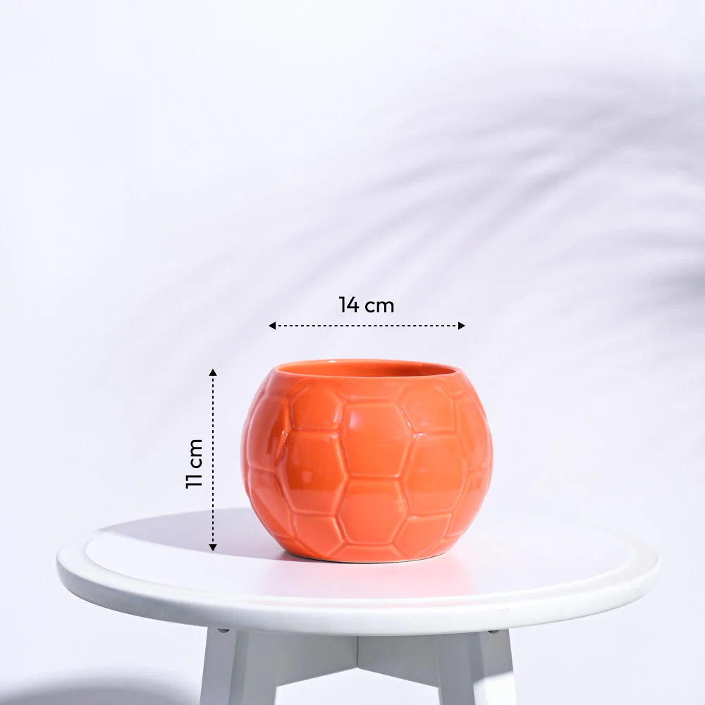Football Ceramic Pot (5.3 Inch Diameter) - Image 15