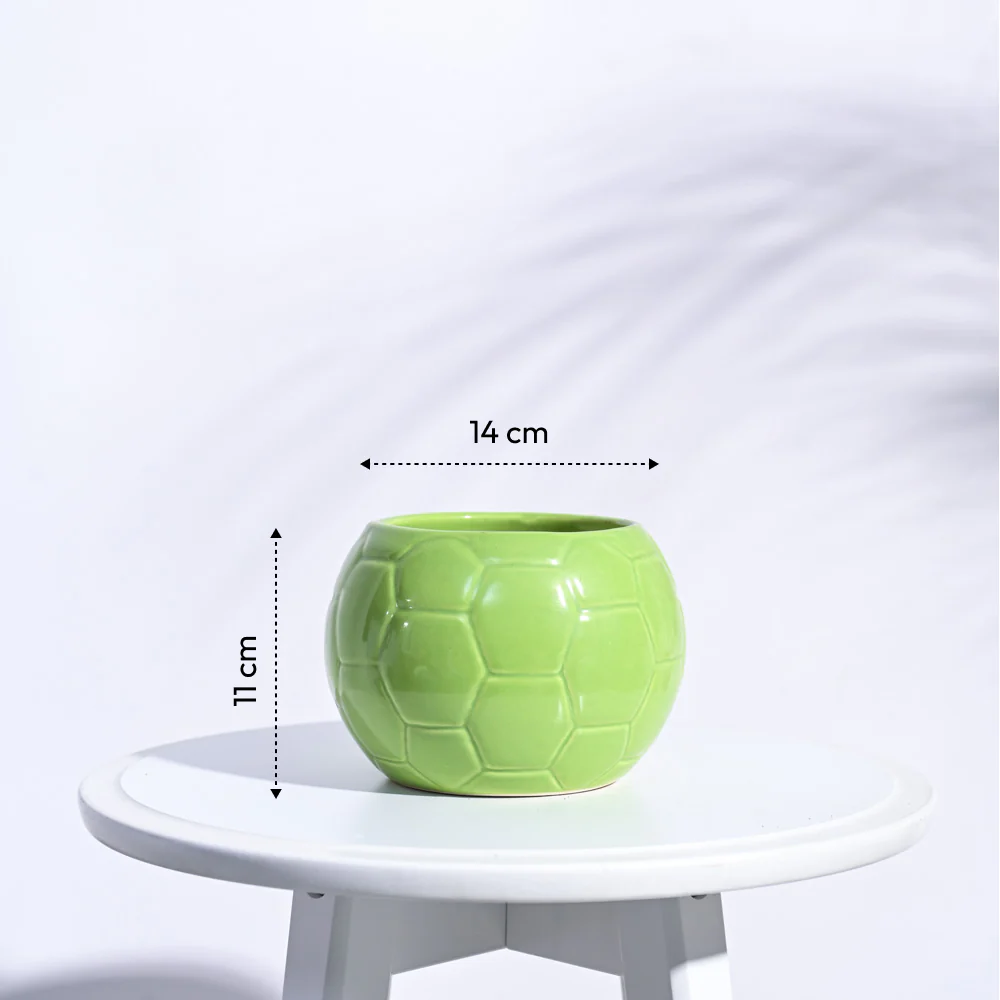 Football Ceramic Pot (5.3 Inch Diameter) - Image 19