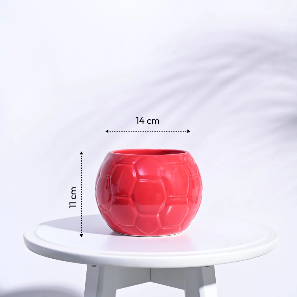 Football Ceramic Pot (5.3 Inch Diameter) - Image 3