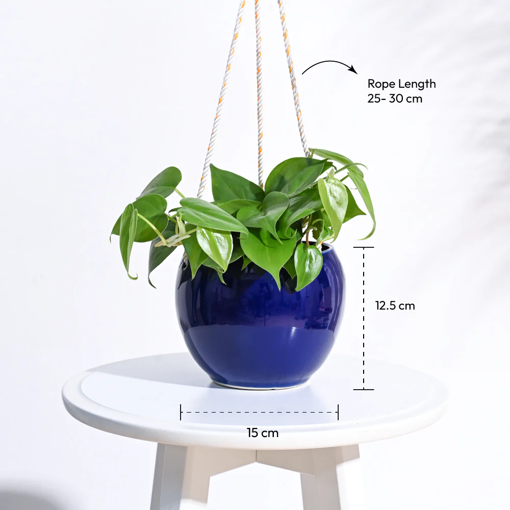 Forma Handmade Ceramic Planter - Image 3