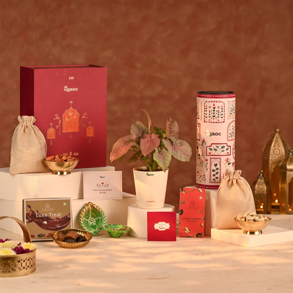 Balance of Beauty - Eco-friendly Diwali Corporate Gift