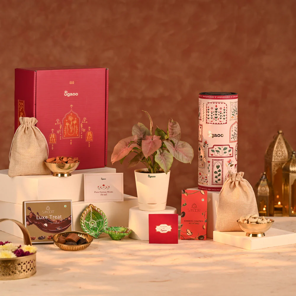 Balance of Beauty - Eco-friendly Diwali Corporate Gift - Image 12