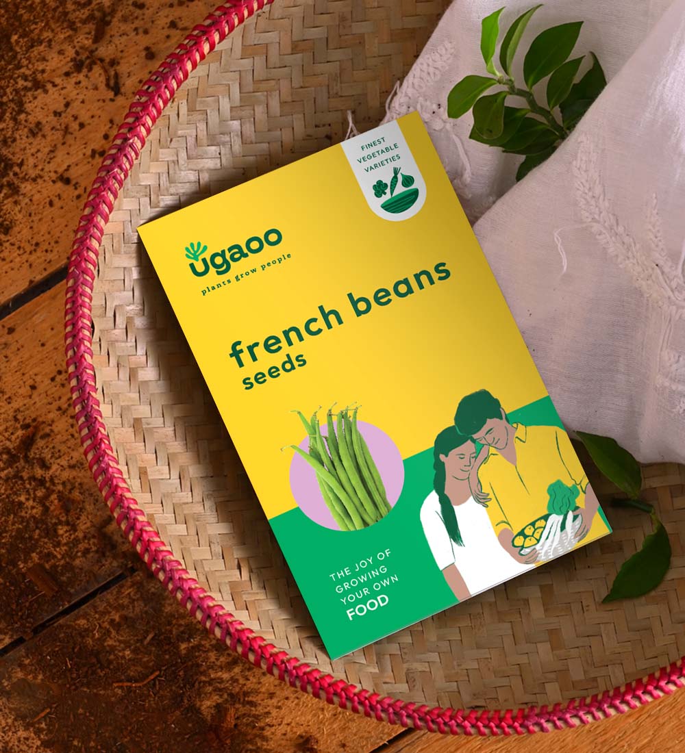 French Bean Seeds - Image 2