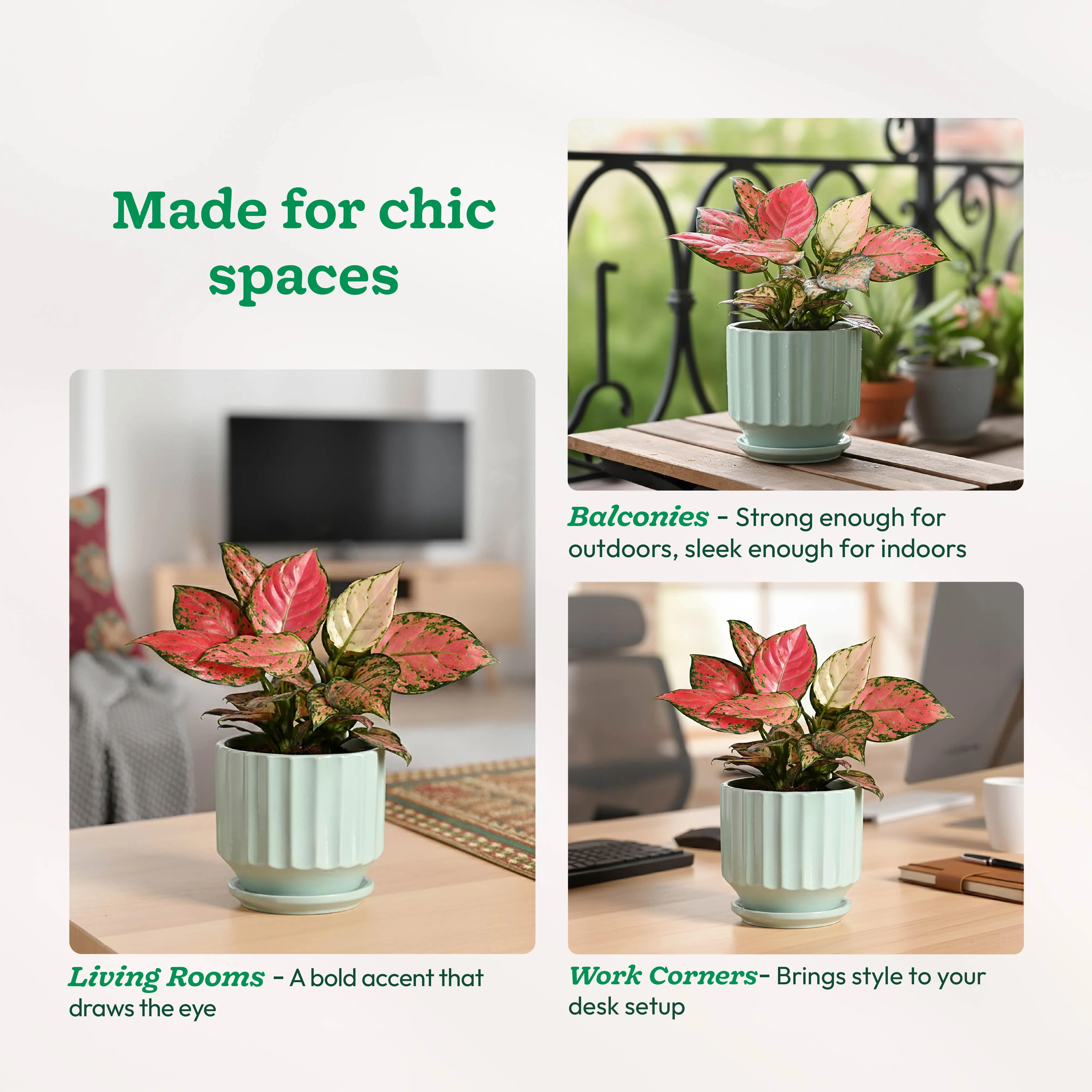 Frosted Ceramic Pot - Image 26