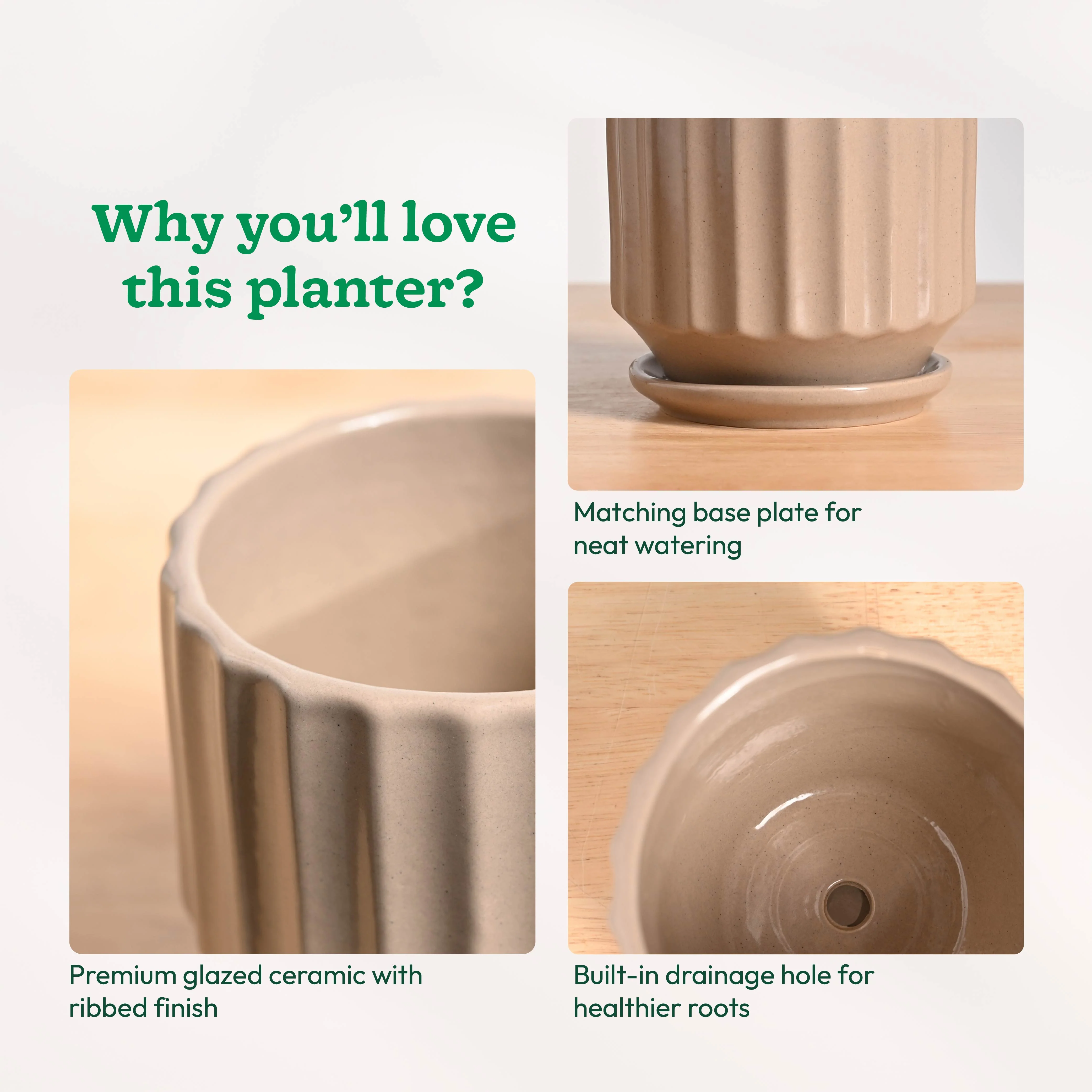 Frosted Ceramic Pot - Image 6
