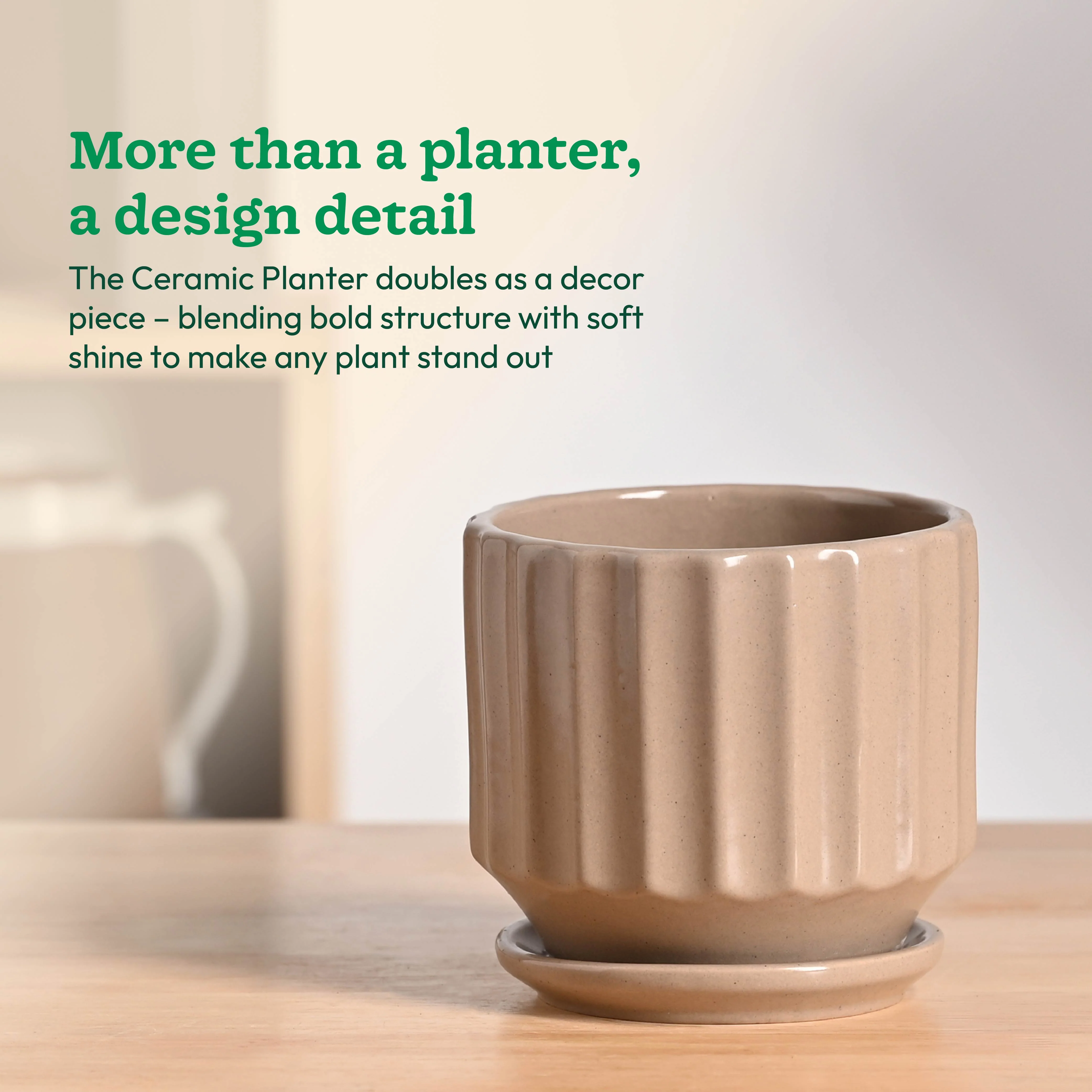 Frosted Ceramic Pot - Image 8