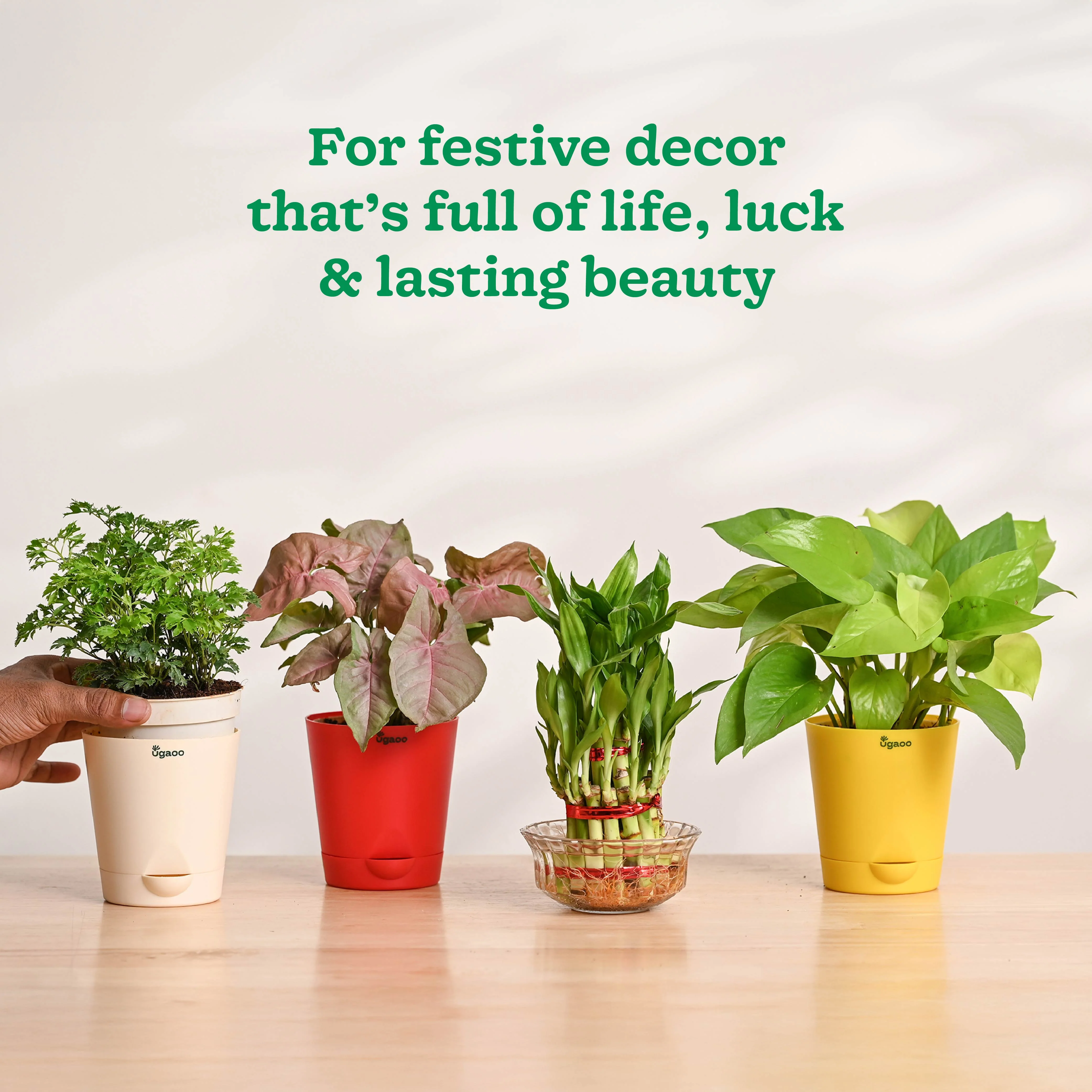Ganapati Decor - Set of Plants - Image 7